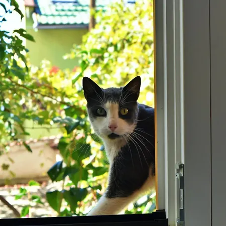 Sabur 公寓 塞拉耶佛